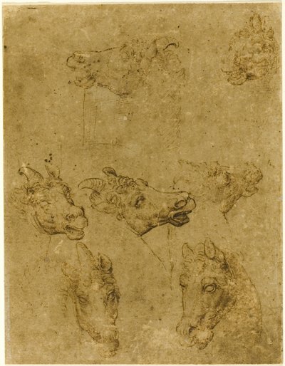 Têtes de chevaux et de licornes - Follower of Leonardo da Vinci