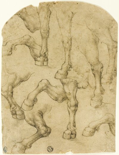 Esquisses de jambes de chevaux (ou dromadaires) (recto) ; colonnes (verso) - Follower of Leonardo da Vinci
