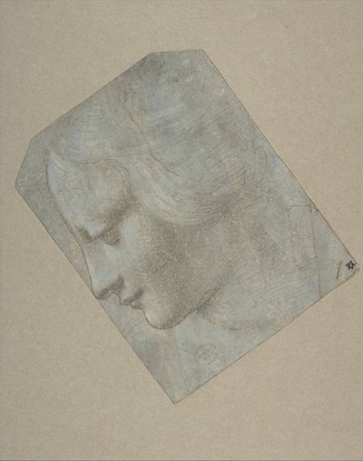Tête de femme de profil tournée vers la gauche - Follower of Leonardo da Vinci.