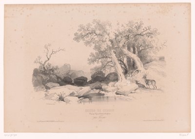 Paysage rocheux avec eau et deux cerfs (Cours de dessin. Paysages, figures, animaux, accessoires, par Férogio) - Fortuné Ferogio