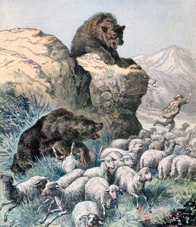 Les ours du Cagyre, 1891 - Fortuné Méaulle