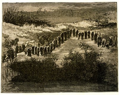 Alignements de menhirs de Carnac. Dessin de Victor Hugo gravé par Meaulle. Extrait du texte de Hugo (En voyage en Bretagne) - Fortune Louis Meaulle