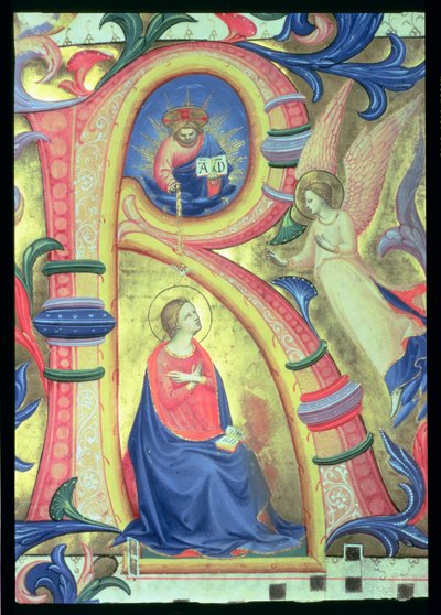 Ms 558 f.33v L
