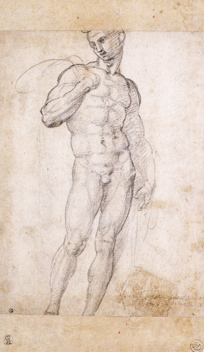 Un nu tenant une cape sur ses épaules - Fra Bartolomeo