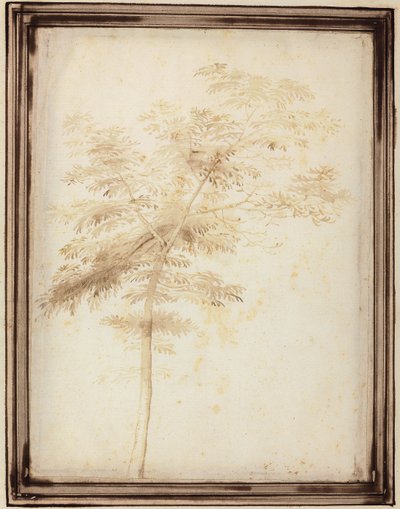 Étude d