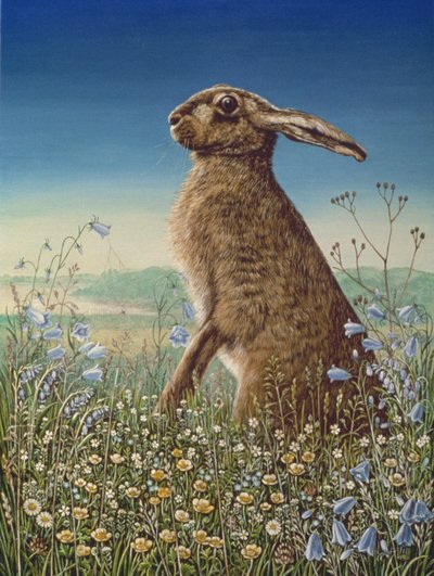Lièvre - Frances Broomfield