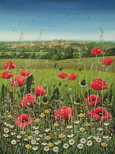 Coquelicots d
