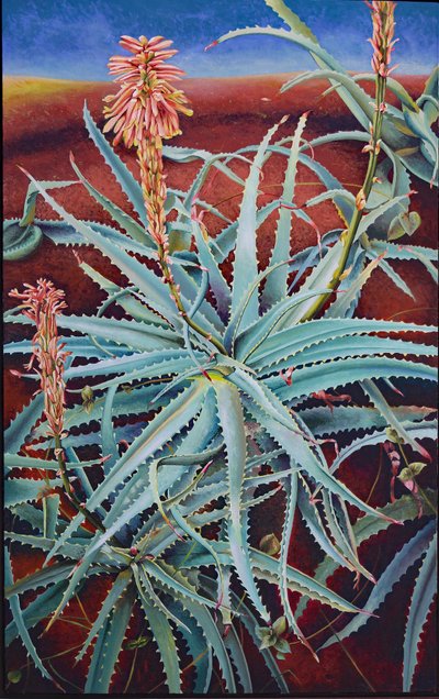 Aloe - Frances Ferdinands