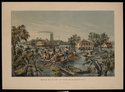 Hautes eaux dans le Mississippi - Frances Flora Bond (c.1812 76) Palmer