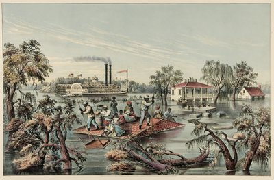 Hautes Eaux dans le Mississippi, pub.1868 - Frances Flora Bond Palmer