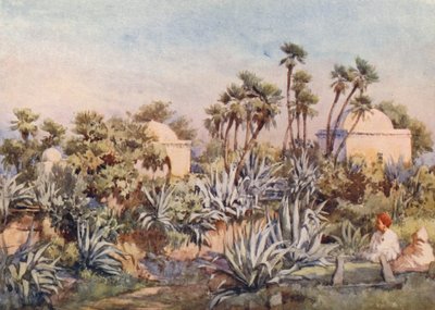 Koubba de Sidi Noumann, Bouzareah - Frances Nesbitt