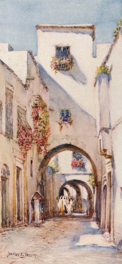 Rue Tourbet el Bey, Tunis - Frances Nesbitt