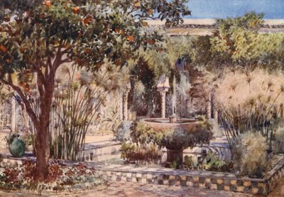 La cour du jardin d