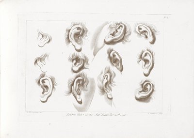 Douze oreilles (Les rudiments du dessin de Cipriani) - Francesco Bartolozzi