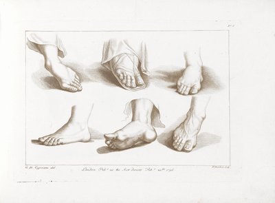 Six pieds - Francesco Bartolozzi