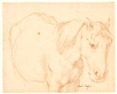 Un cheval - Francesco Fernandi