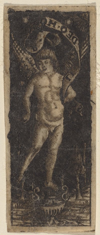 Chérubin sur un vase avec inscription : "SOLI DEO HONOR" - Francesco Francia or Peregrino da Cesena