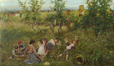 La récolte des raisins - Francesco Gioli