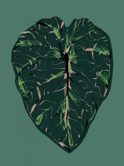  - Francesco Gulina