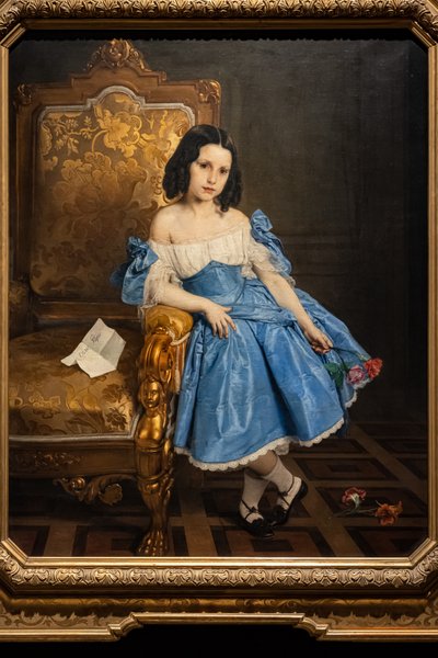 Portrait de la Comtesse Luigia Negroni Prati Morosini - Francesco Hayez