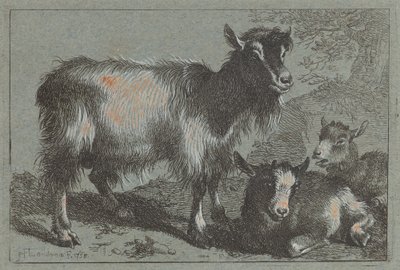 Chèvre et deux chevreaux - Francesco Londonio