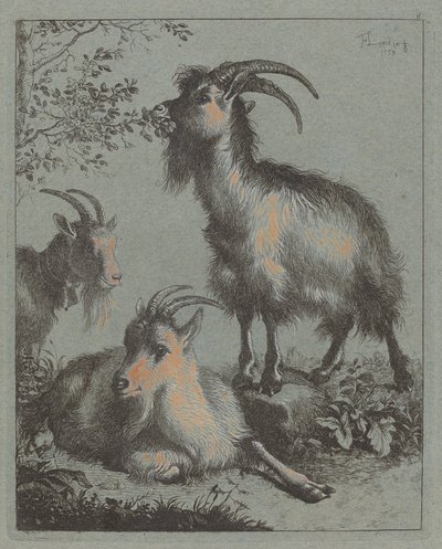 Trois chèvres - Francesco Londonio