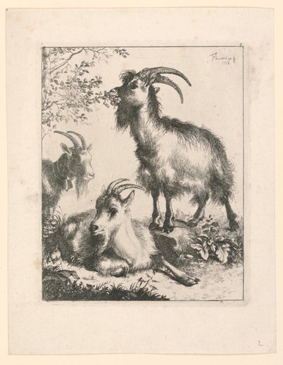 Trois chèvres - Francesco Londonio