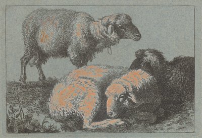 Deux moutons couchés et un mouton debout, 1757-1758 - Francesco Londonio