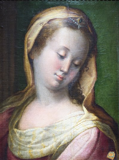 Tête de Madonna - Francesco Longhi