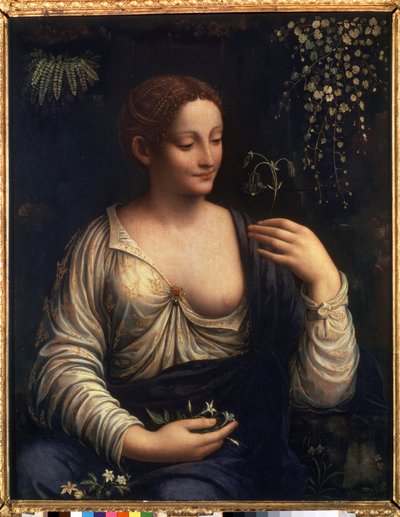 Flore - Francesco Melzi or Melzo