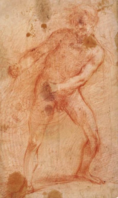 Nu masculin tirant un filet (?) - Francesco Montelatici