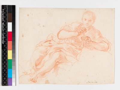 Berger jouant de la flûte, avant 1747 - Francesco Solimena