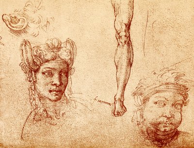 Études de tête et de jambe - Francesco Ubertini Bacchiacca