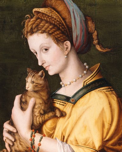 Dame avec un chat, c.1525-30 - Francesco Ubertini Bacchiacca