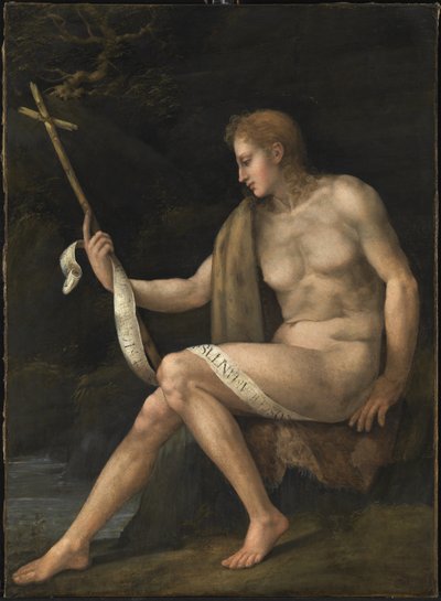 Saint Jean-Baptiste dans le désert - Francesco Ubertini Bacchiacca