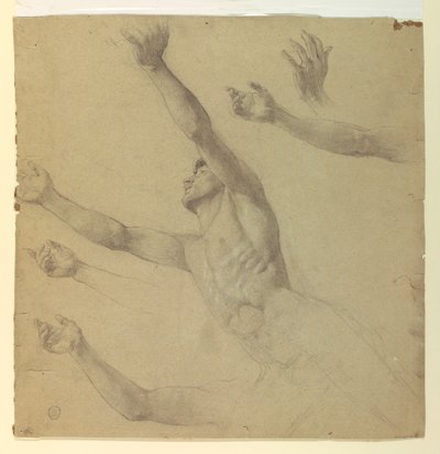 Étude de figure pour Diane et ses suivantes parmi les constellations - Francis Augustus Lathrop