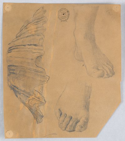 Études de pieds et une coquille cannelée - Francis Augustus Lathrop