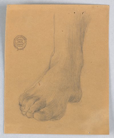 Étude du Pied Droit - Francis Augustus Lathrop