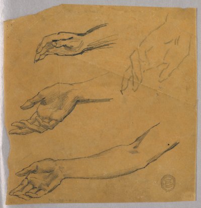 Trois études d