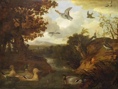 Canards et autres oiseaux près d