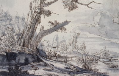 Poissons sur une berge - Francis Barlow