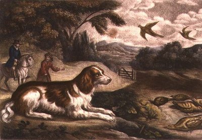 Scène de chasse - Francis Barlow