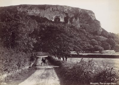 Abergele, grotte de Tan-yr-ogo - Francis Bedford