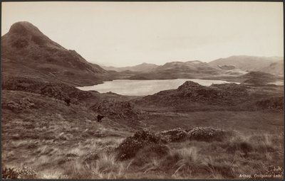 Arthog, lac Creigenen - Francis Bedford