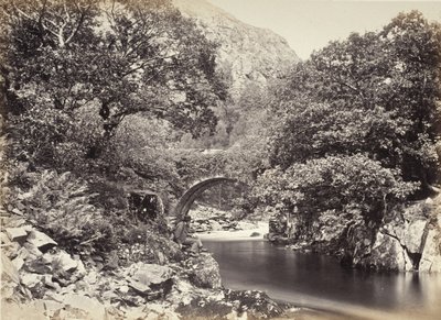  - Francis Bedford