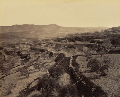 Bethléem - Le champ des bergers - Francis Bedford