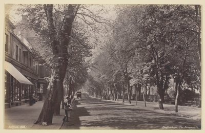 Cheltenham, la Promenade - Francis Bedford