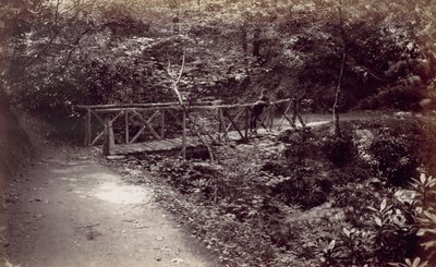 Colwyn Bay. Pont Rustique dans le Bois, 1870s - Francis Bedford