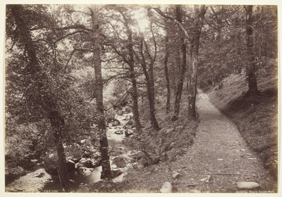 Dolgelley, Vue dans Torrent Walk - Francis Bedford