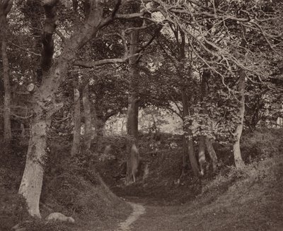 Glen Kenilworth, c. 1868 (photo) - Francis Bedford